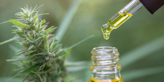 CBD Oil Frequency: How Much Is Just Right?