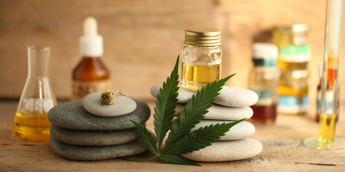 Premium Hemp Derived Cannabinoids Products Online - CBD Comfort Zone